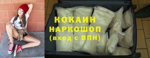 прущие грибы Володарск