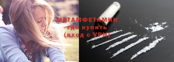прущие грибы Володарск
