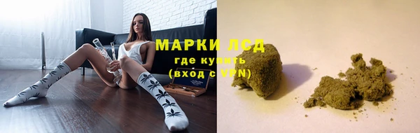 прущие грибы Володарск