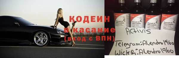 прущие грибы Володарск